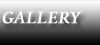 Photo Gallery