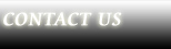 Contact Info